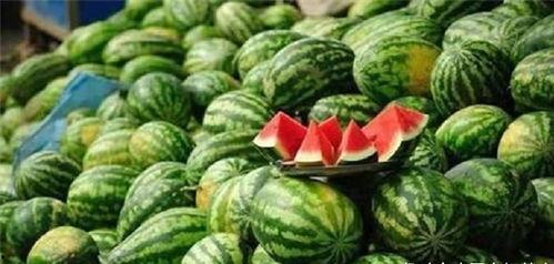 古时吃瓜,探寻古代吃瓜文化的韵味与传承