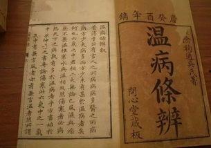 吃瓜小说林尚书,宫廷权谋与瓜田秘闻