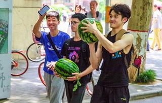 民航大学吃瓜在线观看,揭秘校园生活趣味瞬间