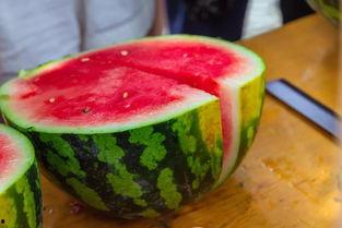 民航大学吃瓜在线观看,揭秘校园生活趣味瞬间