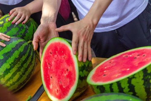 民航大学吃瓜在线观看,揭秘校园生活趣味瞬间