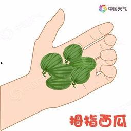 主动带你吃瓜,跟随“主动带你吃瓜”探寻明星幕后故事