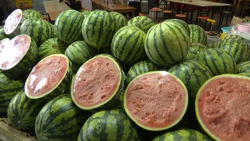 都看自由吃瓜,揭秘网络热点的背后真相