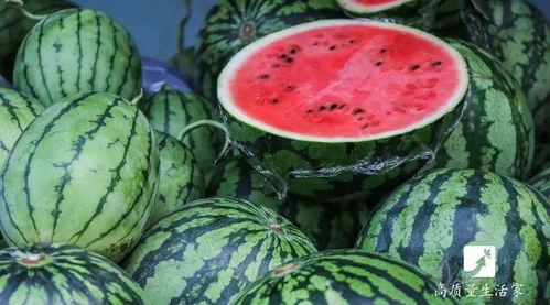 吃坏了的小瓜,小瓜误食引发的肠胃风波