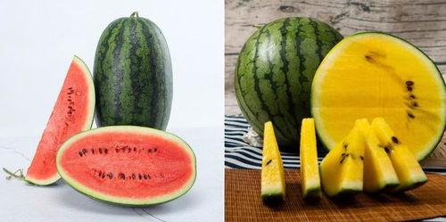 模拟教学瓜瓜吃瓜,模拟教学中的趣味互动体验