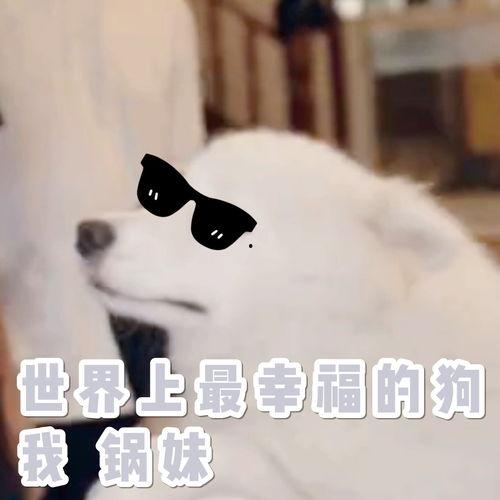 麻瓜吃麻瓜是什么意思,一场关于身份认同的奇幻之旅