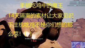 吃鸡呆瓜id,吃鸡呆瓜ID背后的欢乐与智慧