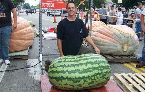 吃瓜会晕,揭秘吃瓜群众晕眩之谜