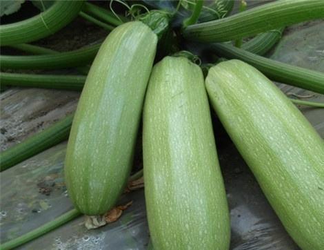 峡谷吃瓜有什么好处,解锁快乐与社交的双重益处