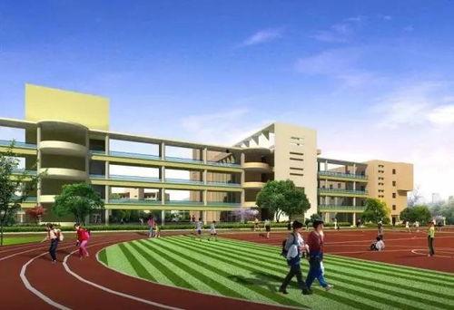 江苏宿州学院吃瓜,揭秘校园里的“瓜田”风云