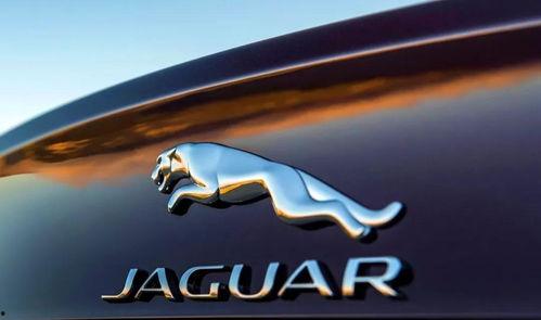 捷豹吃瓜,揭秘汽车界的“网红”现象