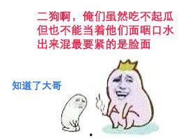 狗妈吃瓜表情包,萌态可掬，笑点满满