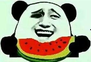 夏天吃瓜群众,吃瓜群众欢乐多