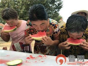 金融机构吃瓜,揭秘金融圈内的八卦与真相