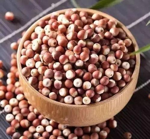 什么人不可以吃瓜拿纳,哪些人不宜食用瓜拿纳