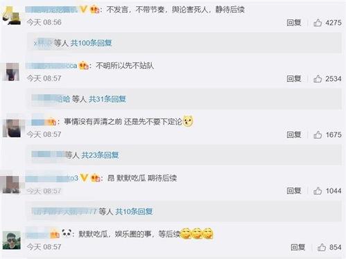 默默吃瓜的网友,揭秘网络舆论背后的真相