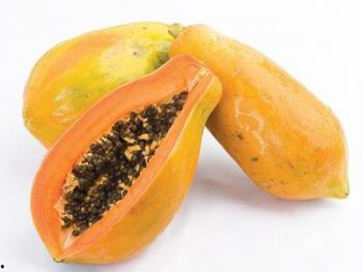 疯男子吃瓜,瓜田里的疯狂食瓜记