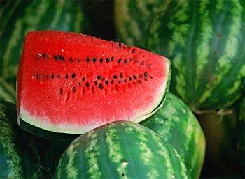 孕妇可以吃青色的藏瓜吗,藏瓜的营养与安全指南