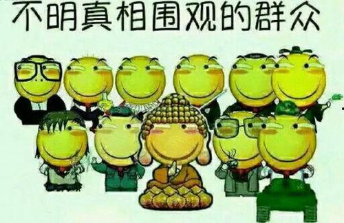 吃瓜喂牲口,传统农耕智慧在现代农业中的应用与传承