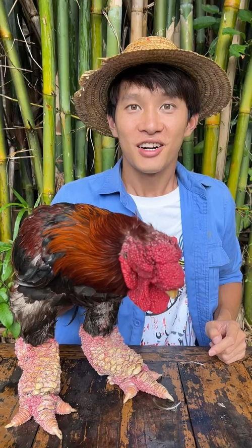 挑战吃瓜特效,揭秘网红美食背后的秘密