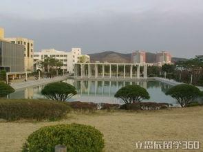 首尔汉阳大学吃瓜,校园吃瓜文化一探究竟