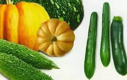 吃瓜养了陆迟,陆迟的成长日记