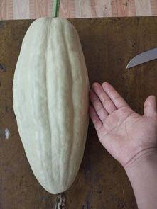 吃瓜不论大小,揭秘娱乐圈那些事儿