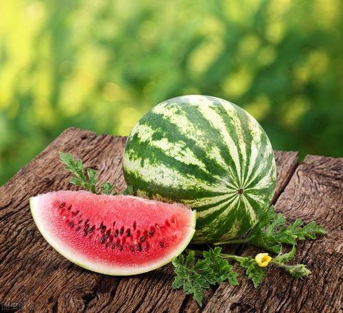 小西吃瓜,揭秘娱乐圈那些不为人知的幕后故事