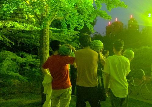 青春有瓜吃,揭秘校园生活的甜蜜与苦涩