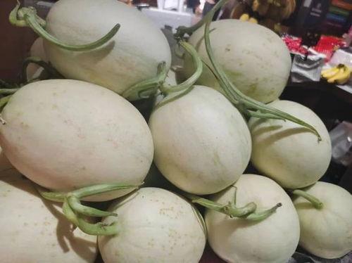 正井吃瓜,揭秘井底世界里的清凉一夏