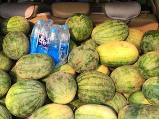 盘锦布车吃瓜,夏日里的瓜香四溢美食之旅