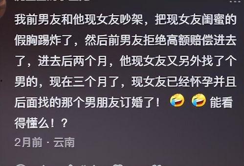 网络分享吃瓜故事,揭秘网络舆论背后的真相与笑料