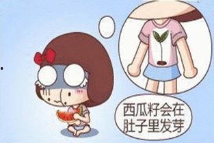 吃瓜群众吐籽籽,揭秘网络热议背后的真相与笑料