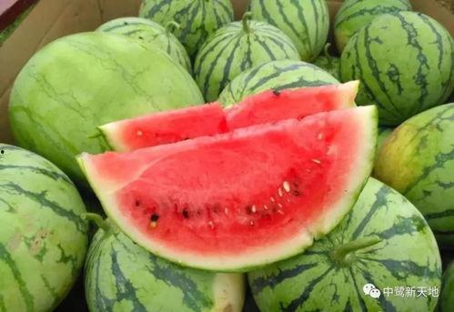 上安吃瓜,揭秘网络热点的背后故事