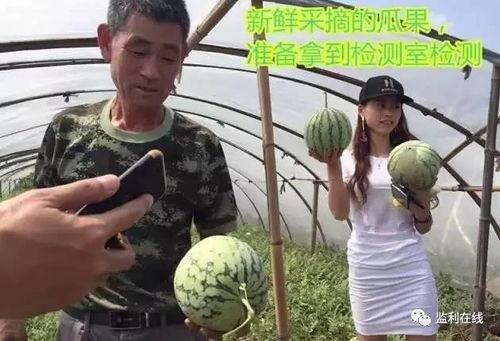 吃瓜群众电台直播,揭秘娱乐圈幕后故事