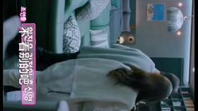 全在俊吃瓜,揭秘娱乐圈背后的那些事儿