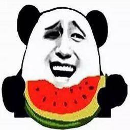 吃瓜的群头像,揭秘吃瓜群头像背后的趣味与潮流