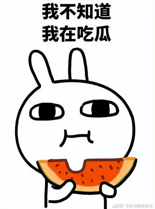 瓜瓜吃瓜评价,揭秘娱乐圈幕后真相