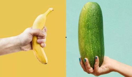 皇后吃小懒瓜,小懒瓜的宫廷传奇