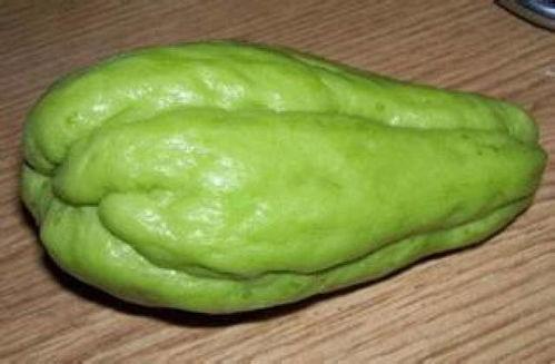 吃鳖可以吃佛手瓜吗