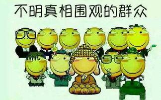 形容吃瓜群众吃的瓜,揭秘吃瓜群众的瓜界盛宴