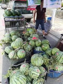 昆明屋顶吃瓜事件视频,网友热议城市新景观