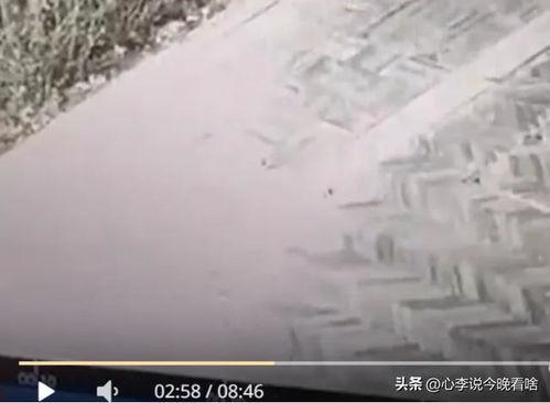 吃瓜完整原视频,一场视觉盛宴背后的故事