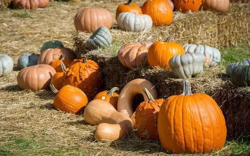 最新官场吃瓜,最新吃瓜事件大盘点