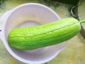 水瓜的瓜囊可以吃吗,美味可口的食用奥秘探索