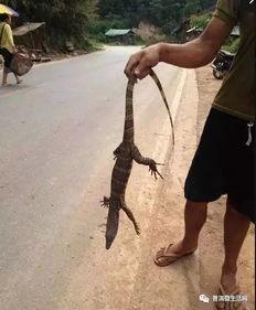 吃瓜群众sam,揭秘娱乐圈幕后故事