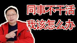 公司聚餐吃瓜,一场舌尖上的欢乐盛宴