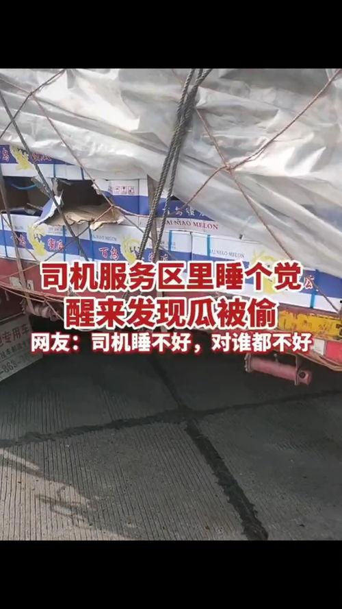 服务区吃瓜视频