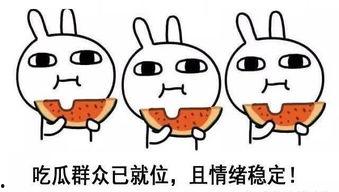 吃瓜很甜段子,揭秘那些甜蜜的吃瓜段子