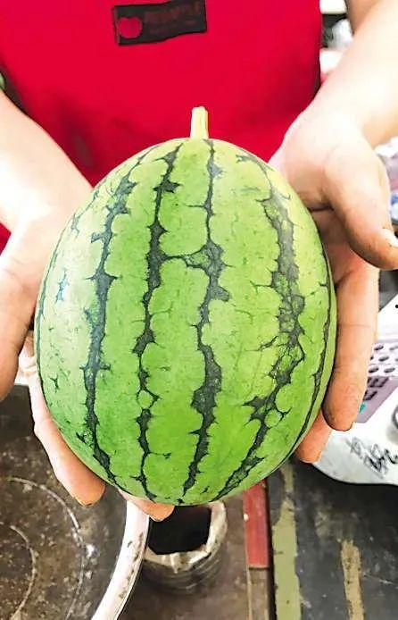 全国最新吃瓜事件,最新吃瓜事件引发全民关注！